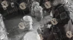 Packing Paper Plate - Log, colour and B&W - Image 2
