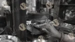 Machine Making Paper Plates - Log, colour and B&W - Image 2