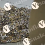 Waste Paper in a Factory - Log, colour and B&W