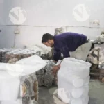 Packing Paper Plates in a Bag - Log, colour and B&W