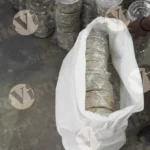 Packing Paper Plate in a Bag, Log, colour and B&W