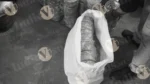 Packing Paper Plate in a Bag, Log, colour and B&W - Image 2