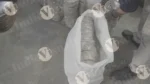 Packing Paper Plate in a Bag, Log, colour and B&W - Image 3