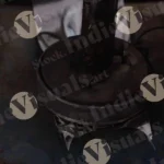 Paper Plate Making Machine - Log, colour and B&W