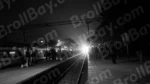 The train is arriving at the platform - Log, colour and B&W - Image 2
