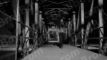 Foot overbridge - Log, colour and B&W - Image 2