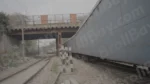 Side View of Running Train - Log, colour and B&W - Image 3