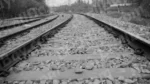 Railway Track - Log, colour and B&W - Image 2