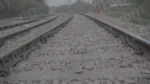 Railway Track - Log, colour and B&W - Image 3
