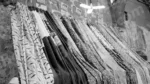Selling Curtains - Log, colour and B&W - Image 2