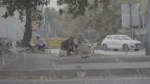 The Garbage Man is Picking up the Trash on Roadside - Log, colour and B&W - Image 3