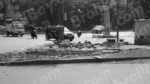 Pigeons on Roadside - Log, colour and B&W - Image 2