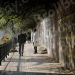 People are Walking on a Street - Log, colour and B&W