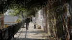 People are Walking on a Street - Log, colour and B&W
