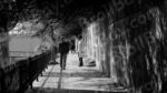 People are Walking on a Street - Log, colour and B&W - Image 2