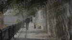 People are Walking on a Street - Log, colour and B&W - Image 3