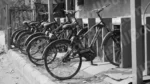 Bycycle in a Parking Area - Log, colour and B&W - Image 2