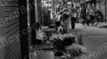 Man Selling Flowers - Log, colour and B&W - Image 2