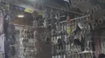 Shoe Shop - Log, colour and B&W - Image 3