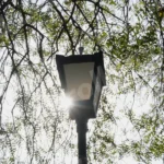 A Street Light - Log, colour and B&W