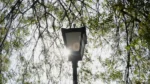 A Street Light - Log, colour and B&W
