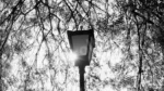 A Street Light - Log, colour and B&W - Image 2