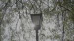 A Street Light - Log, colour and B&W - Image 3