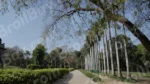Lodhi Garden Park - Log, colour and B&W