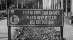 Cleaning Instructions in a Board - Log, colour and B&W - Image 2