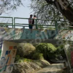 People Crossing a Small Bridge - Log, colour and B&W