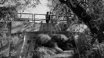 People Crossing a Small Bridge - Log, colour and B&W - Image 2