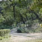Lodhi Garden Park - Log, colour and B&W