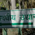 Medicinal Garden Board - Log, colour and B&W