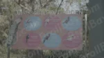Billboard Titled BIRDS IN LODI GARDEN - Log , colour and B&W - Image 3