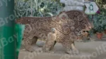 Animal Sculpture Made from Scrap Metal Parts - Log, colour and B&W
