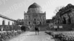 Monument in Lodhi Garden - Log, colour and B&W - Image 2