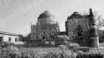 Lodhi garden Monument - Log, colour and B&W - Image 2