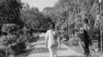 People Walkling in a Park - Log, colour and B&W - Image 2
