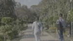 People Walkling in a Park - Log, colour and B&W - Image 3