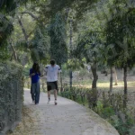 Couple Enjoying in a Park - Log, colour and B&W