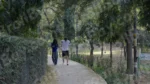 Couple Enjoying in a Park - Log, colour and B&W
