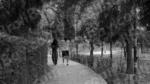 Couple Enjoying in a Park - Log, colour and B&W - Image 2