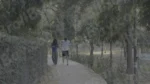 Couple Enjoying in a Park - Log, colour and B&W - Image 3