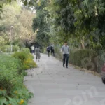People Walking on a Sidewalk in a Park - Log, colour and B&W