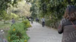 People Walking on a Sidewalk in a Park - Log, colour and B&W