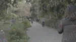 People Walking on a Sidewalk in a Park - Log, colour and B&W - Image 3
