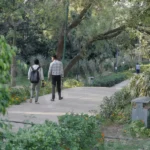 People are Walking in a Park - Log, colour and B&W