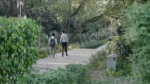 People are Walking in a Park - Log, colour and B&W