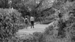 People are Walking in a Park - Log, colour and B&W - Image 2