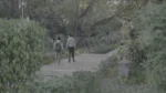 People are Walking in a Park - Log, colour and B&W - Image 3
